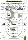 Routines d'éveil SPECIMEN.webp