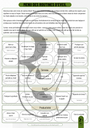 MENU DES ROUTINES MATINALES